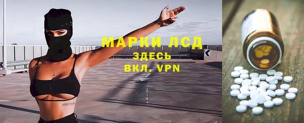 стаф Вяземский