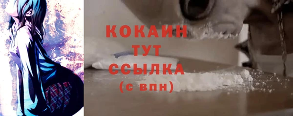 стаф Вяземский