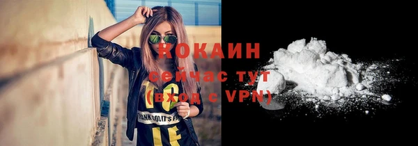 стаф Вяземский