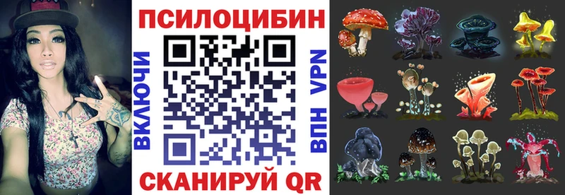 купить   Смоленск  Псилоцибиновые грибы мицелий 